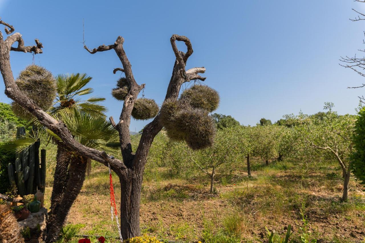 Finca Sa Sini Buger Luaran gambar